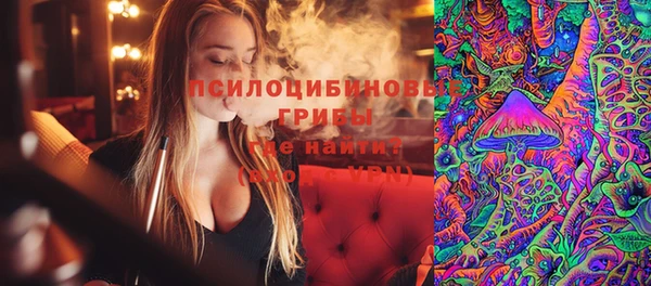 ГАЛЛЮЦИНОГЕННЫЕ ГРИБЫ Балахна